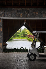 cart